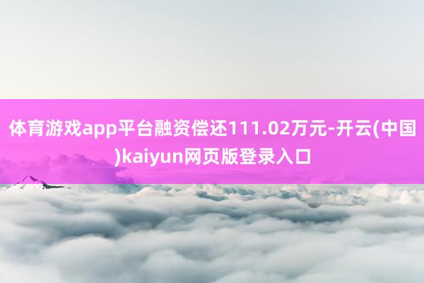 体育游戏app平台融资偿还111.02万元-开云(中国)kaiyun网页版登录入口